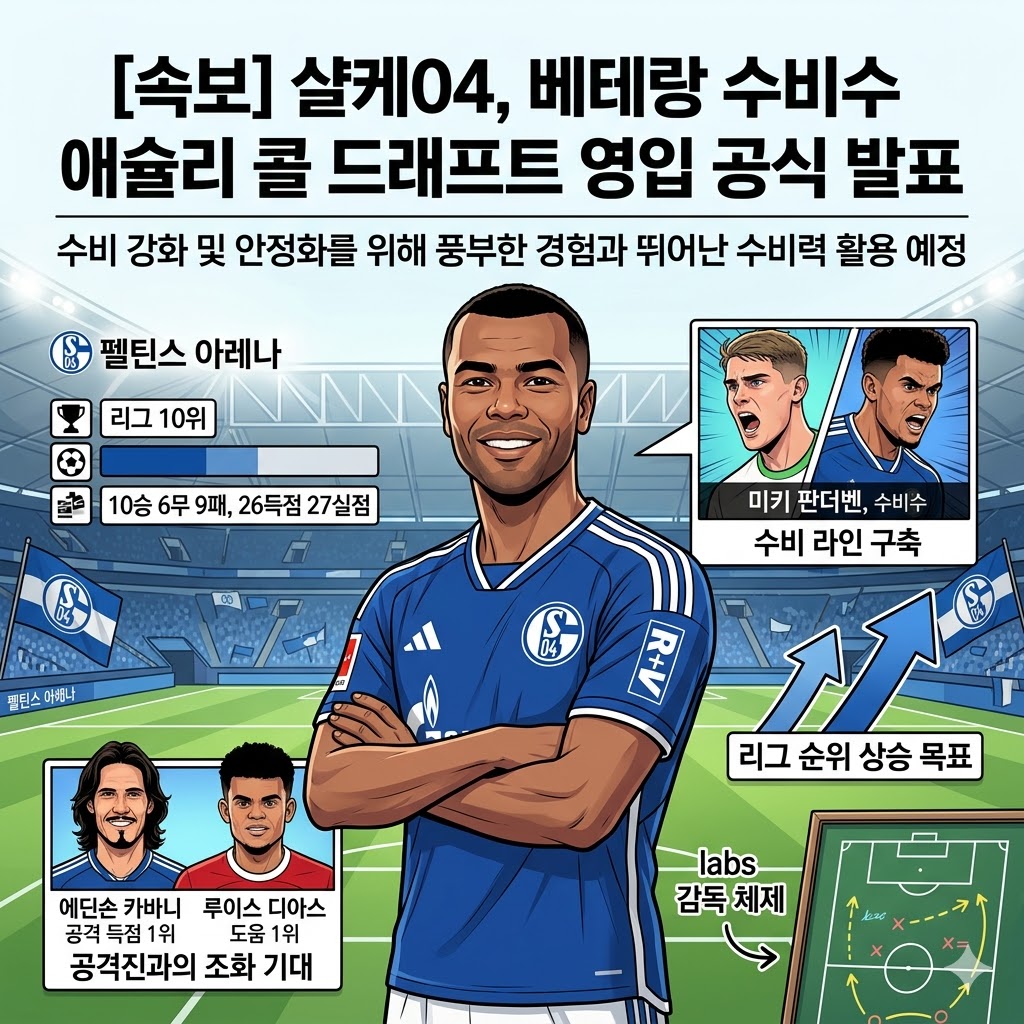 [속보] 샬케04, `애슐리 콜` 수비진 핵보강!